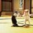 canhbayaikido