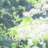 quynhduong76