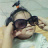 apple90