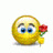 sunflower_nth
