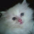 linhE1