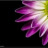 toi_khong_biet888