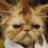 OldCat75