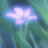 purplesea