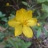 NguNgo_0108