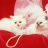 seabird_1612