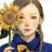 Sunflower_HL