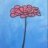zinnia_zinnia