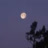 night_after_night