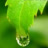 ngay_cuoi_cung_892006