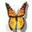 oanthikinh