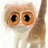 doi_retdong_ve
