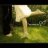 trang_lee