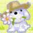 ch1p_nh0