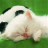 meo_u_2001