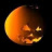rilwis