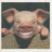 prettypiggy