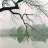 hanoi_muathusom