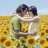 sunflower12