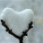 aibiet150204
