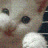 owlet