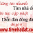 timnhadat02