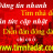 timnhadat01