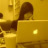 chipshopxinh