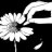 marguerite86