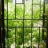 TheOpenWindow